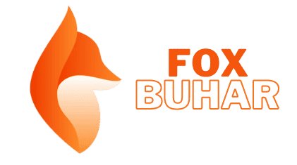 Vozol Puff – Fox Buhar