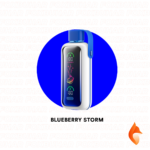 blueberry-storm-vozol-star-20000