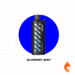 blueberry-mint-vozol-shisha-25000